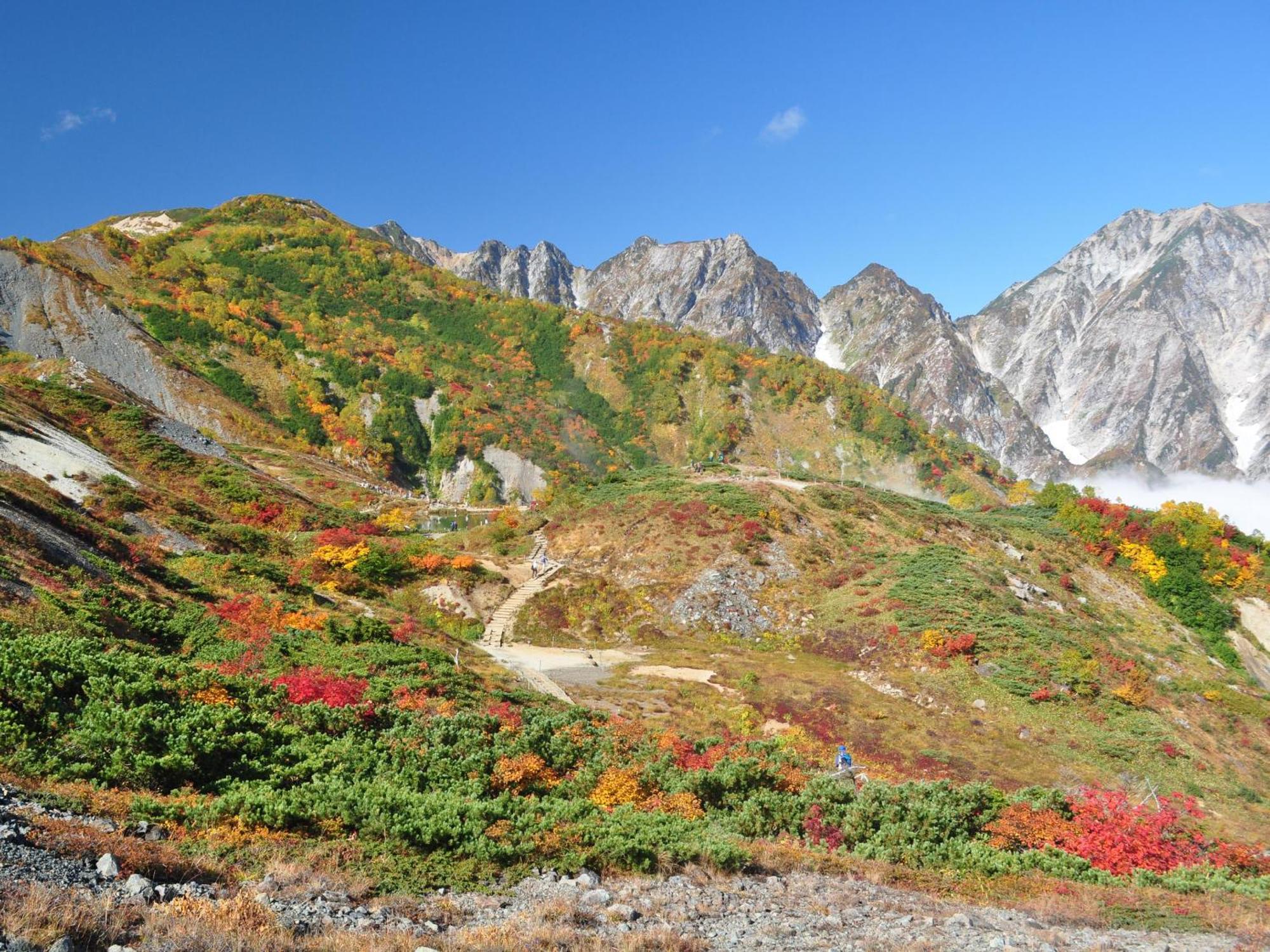 Kudo'S Lodge Hakuba Eksteriør bilde